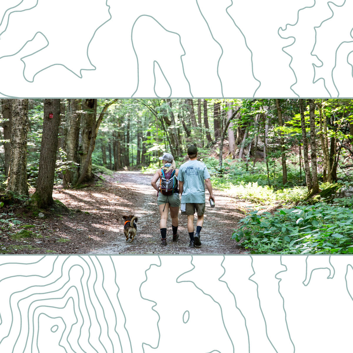 Tips for Hiking with Dogs