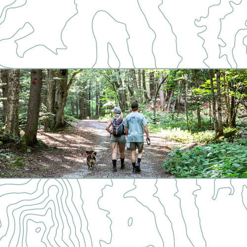 Tips for Hiking with Dogs