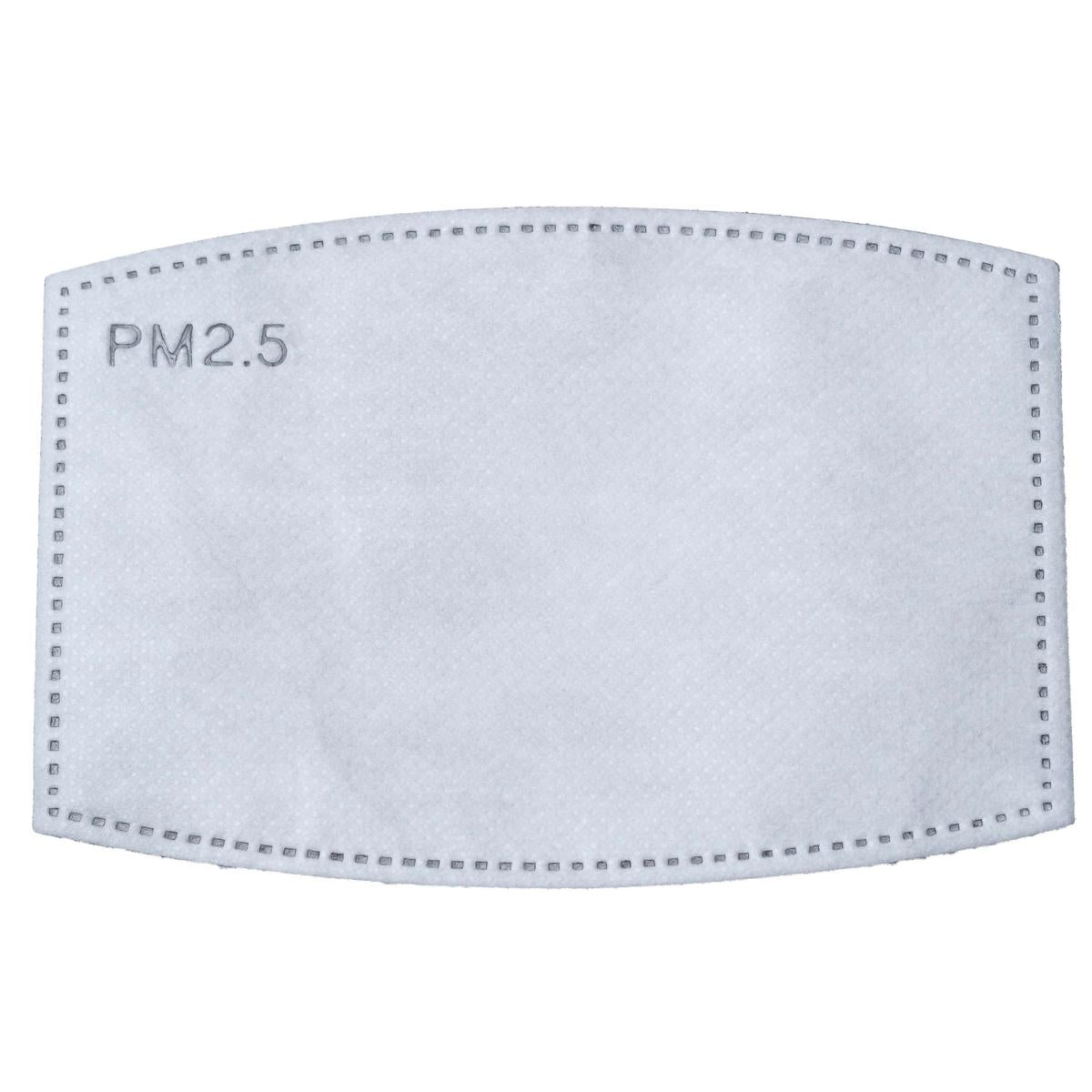 PM2.5 Activated Carbon Filter - 10-pack / Color-White