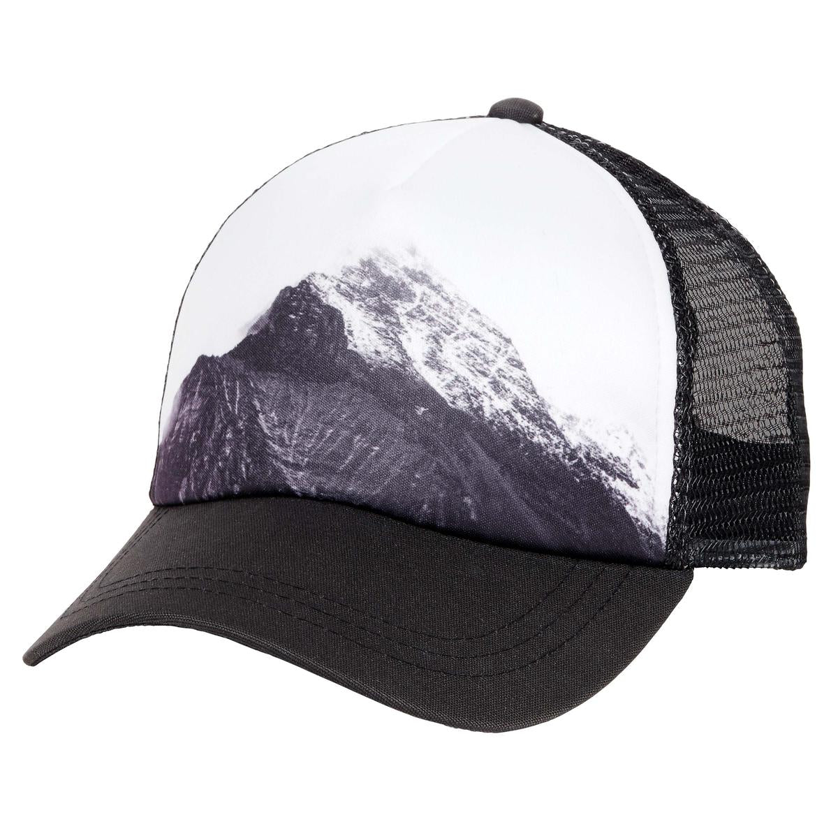 Dark Side of the Mountain Picture This Trucker / Color-Dark Side Of The Mountain