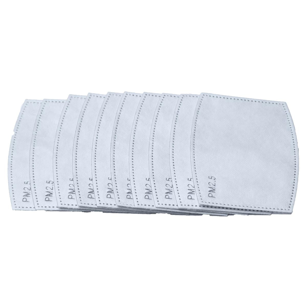 PM2.5 Activated Carbon Filter - 10-pack / Color-White
